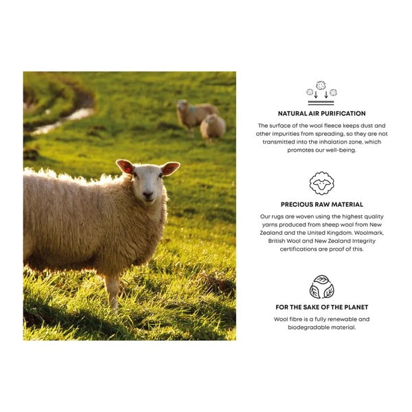 Kilimas iš vilnos šviesiai pilkos spalvos 160x240 cm Talwin – Agnella-image-4