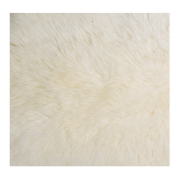 Baltas avies odos olandiškas kailis Shaun-image-1