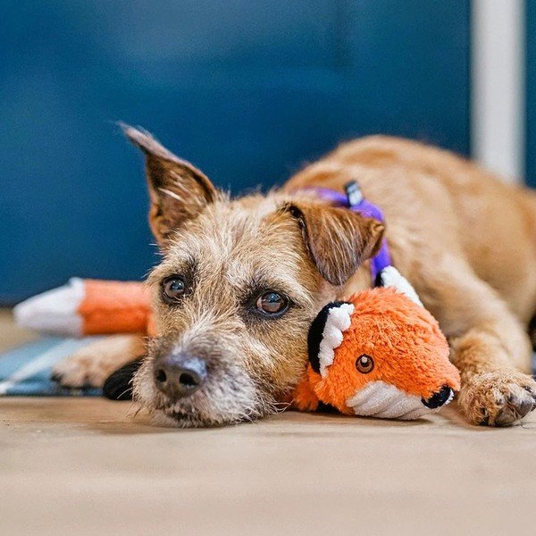 Žaislas šuniui lapė – P.L.A.Y.-image-1