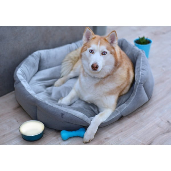 Pilka vilnonė lova 90x70 cm Alík - Petsy-image-1