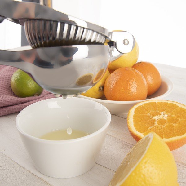 Iš metalo citrusinių vaisių sulčiaspaudė – Orion-image-2