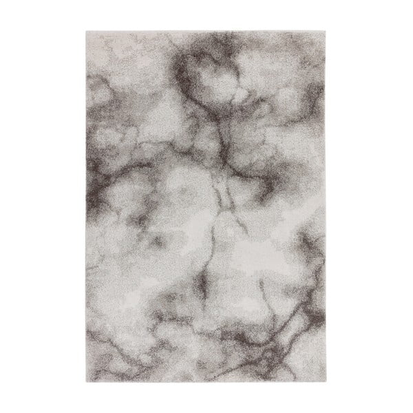 Kilimas pilkos spalvos 200x290 cm Dream – Asiatic Carpets