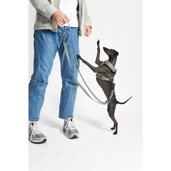 Dirželis žalios spalvos XS ilgis 25 cm Modena Grolive XS – MiaCara-image-2