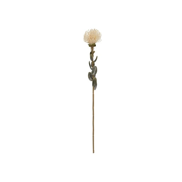 Dirbtinė gėlė (aukštis 73 cm) Protea – PT LIVING