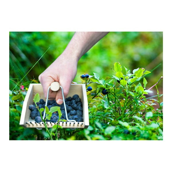 Mėlynių šukavimo mašina iš buko medienos Esschert Design Pond-image-2