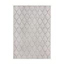 Dramblio kaulo spalvos lauko ir vidaus kilimas 120x170 cm Elm Leaf – Flair Rugs