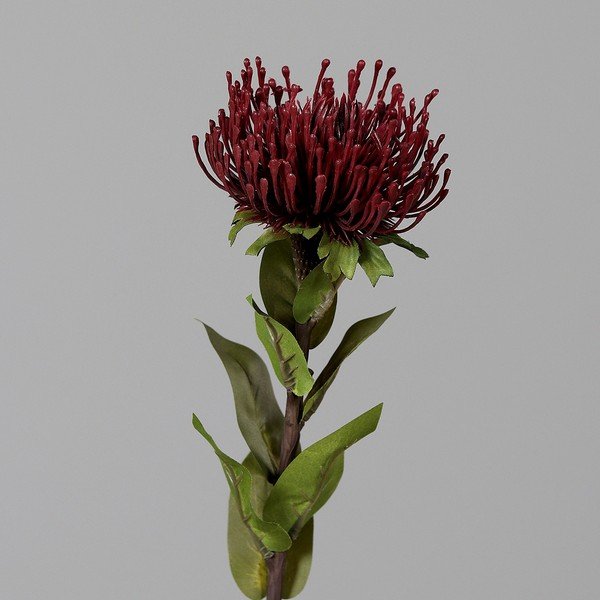 Dirbtinė gėlė (aukštis 74 cm) Protea – Ego Dekor
