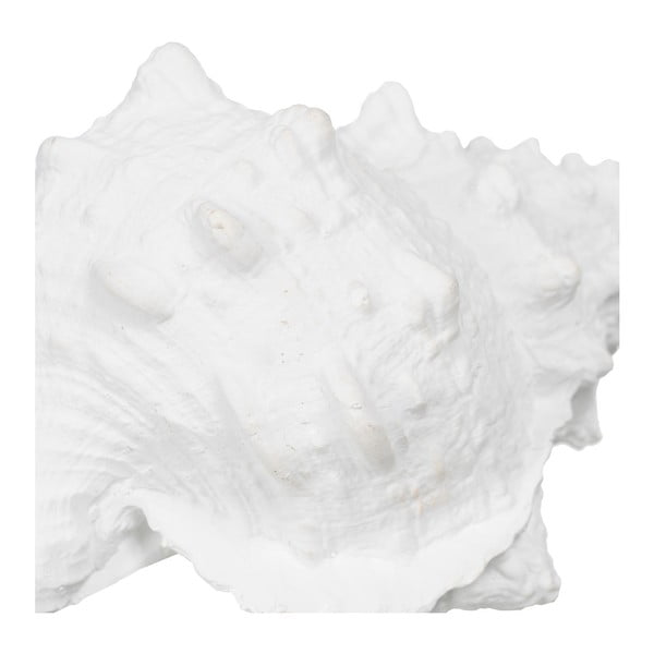 Iš polirezino statulėlė (aukštis 12 cm) Seashell – Ixia-image-1