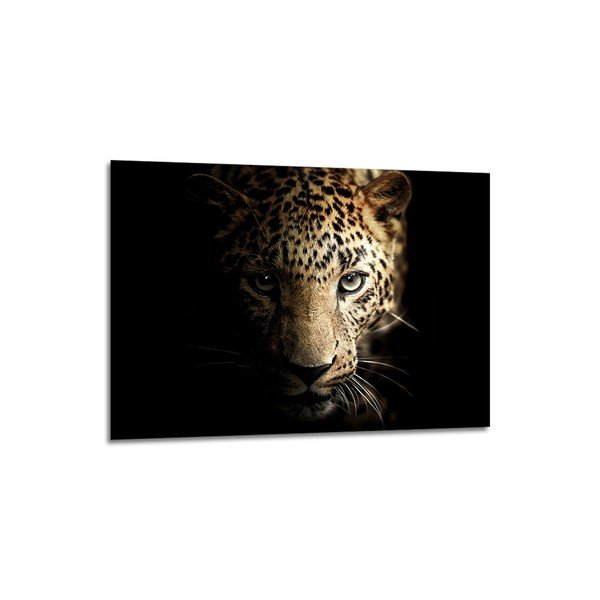 Paveikslas ant stiklo Styler Glas Animals Leopard, 70 x 100 cm-image-1