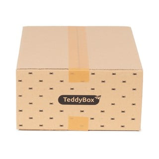 3 smėlio spalvos daiktadėžių rinkinys Compactor Teddy, 35 x 15 cm