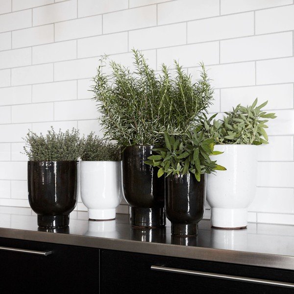 Juodasis namas Daktaras Greenpoints puodas-image-1