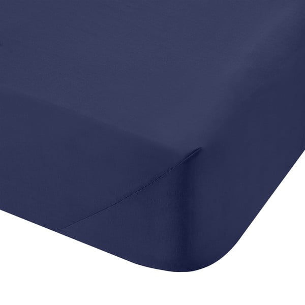 Tamsiai mėlynos spalvos iš medvilninio perkelio paklodė su guma 185x200 cm Cotton Percale – Bianca