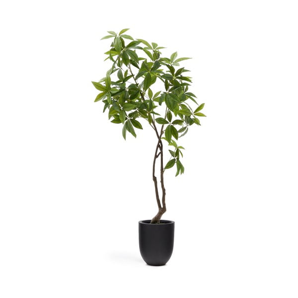 Dirbtinis augalas (aukštis 180 cm) Pachira – Kave Home