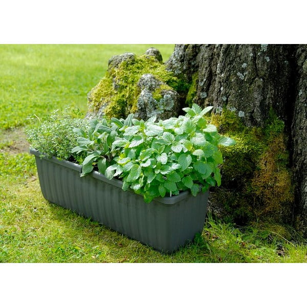 Pilkas savaiminio laistymo vazonas Plastia Siesta, ilgis 80 cm-image-1