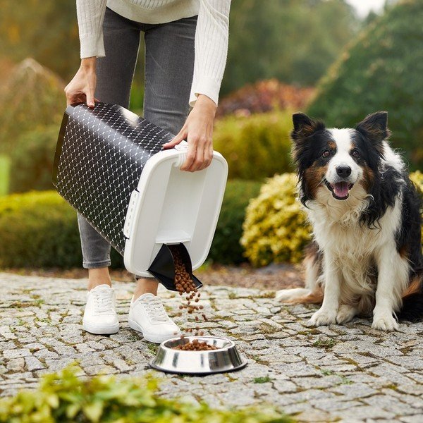 Dėžė sausam augintinių maistui laikyti 25 l Cody - Rotho-image-2