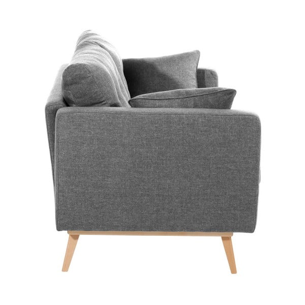 Pilka dvivietė sofa "Max Winzer Tomme-image-1