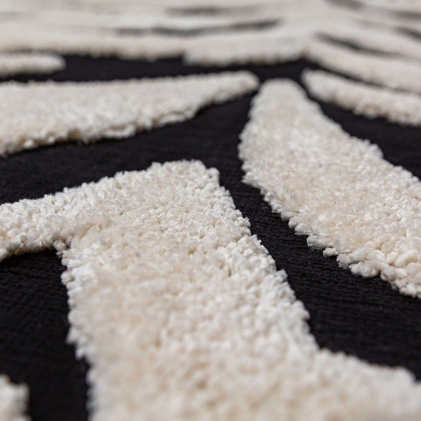 Juodos ir baltos spalvos kilimas 160x230 cm Esra Zebra – Flair Rugs-image-2