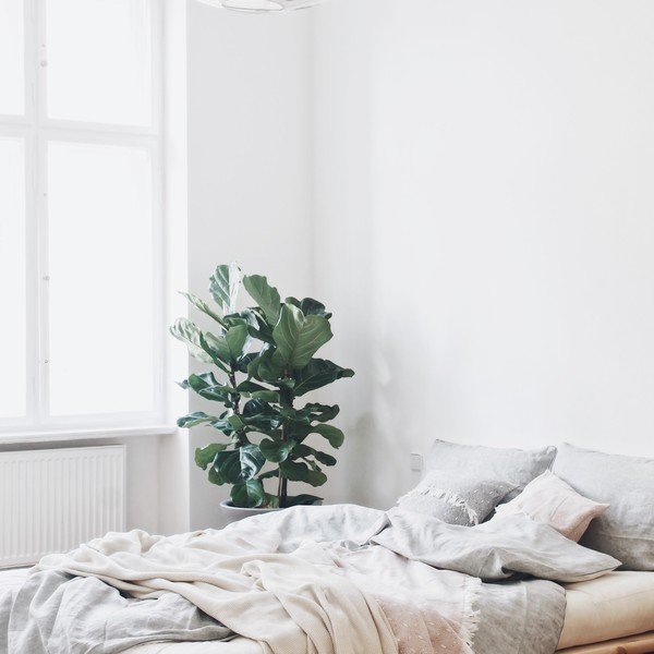 Pušies medienos dvigulė lova su čiužiniu Karup Design Senza Comfort Mat Natural Clear/Natural, 180 x 200 cm-image-1