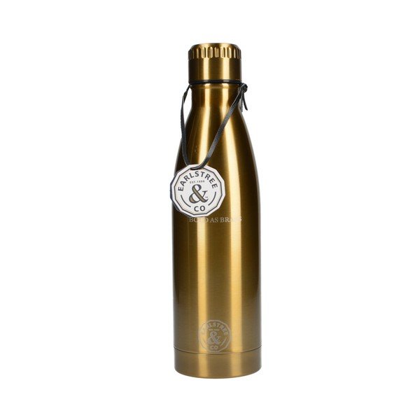Nerūdijančio plieno kelioninis butelis "Creative Tops Earlstree", 550 ml-image-1