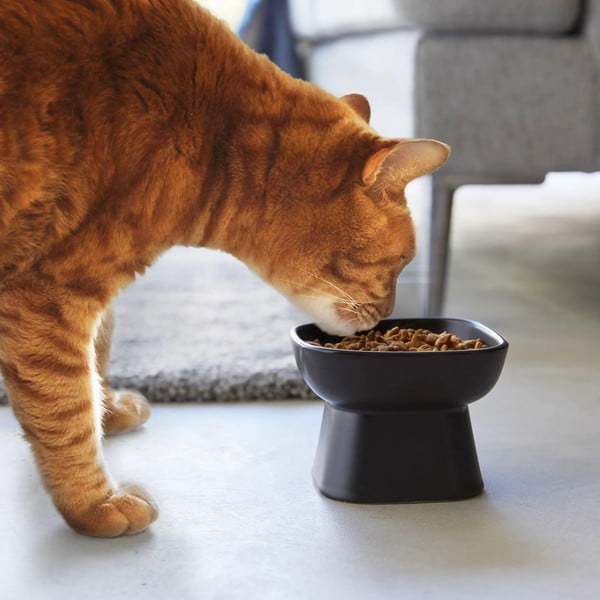 Iš keramikos augintinių dubuo visi augintiniai Tower – YAMAZAKI-image-1