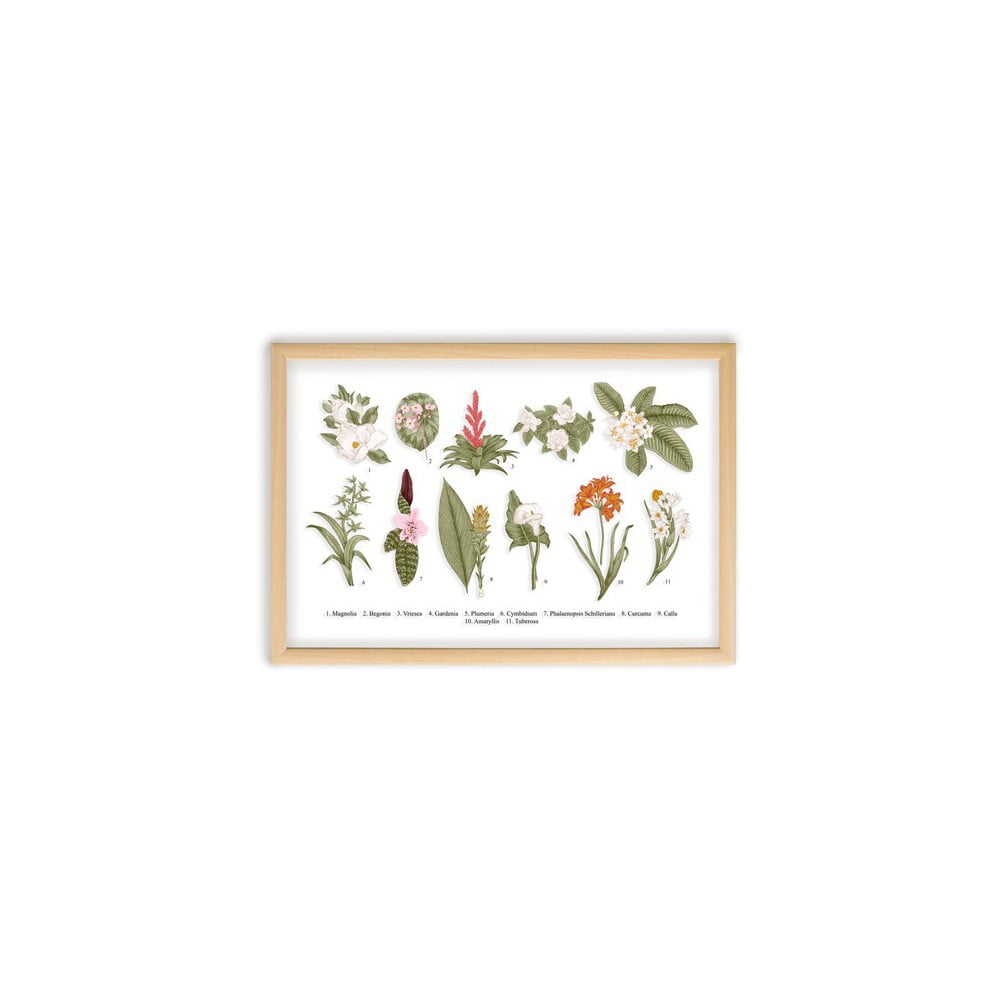 Paveikslas su pušies medžio rėmu Surdic Botanical Flowers, 50 x 70 cm
