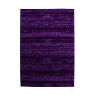 Kilimas tamsiai violetinės spalvos 140x200 cm Plus – Ayyildiz Carpets