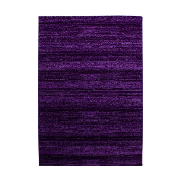 Kilimas tamsiai violetinės spalvos 80x150 cm Plus – Ayyildiz Carpets