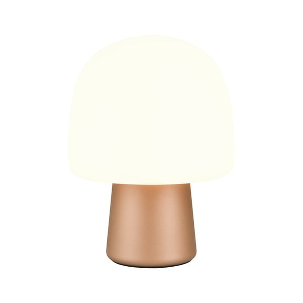 Stalinis šviestuvas baltos spalvos/bronzinės spalvos (aukštis 27 cm) su stiklo gaubtu Steen – Trio-image-2