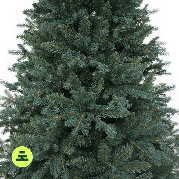Kalėdinė eglutė aukštis 150 cm Silver Spruce – Můj Stromeček-image-4