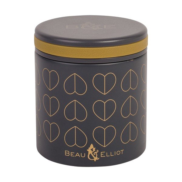 Maisto termosas Navigate Dove, 400 ml-image-1