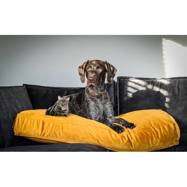 Čiužinys geltonos spalvos šuniui 80x55 cm – Madison-image-1