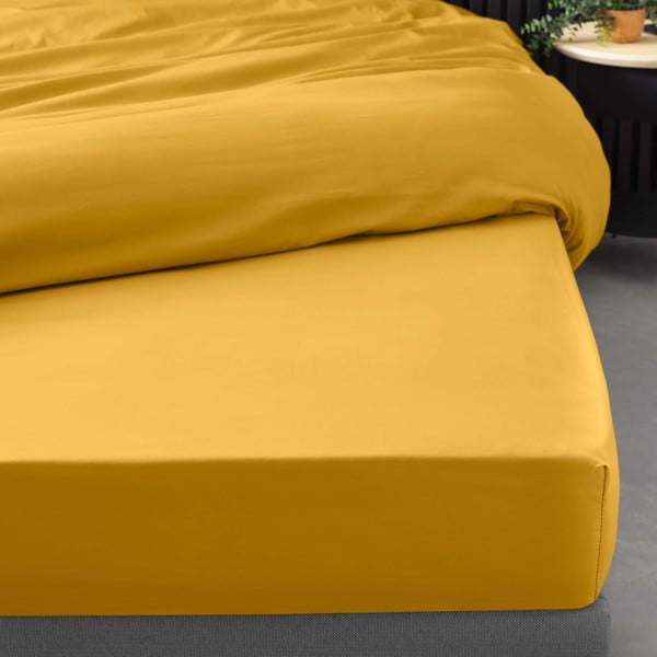 Paklodė iš medvilninio perkelio geltonos spalvos su guma 180x200 cm Percaline – douceur d'intérieur-image-1