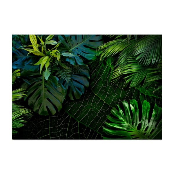 Didelio formato tapetai Artgeist Dark Jungle, 200 x 140 cm
