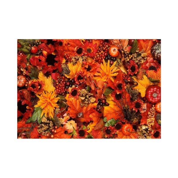 Kilimėlis Zerbelli Margo, 75 x 52 cm-image-3