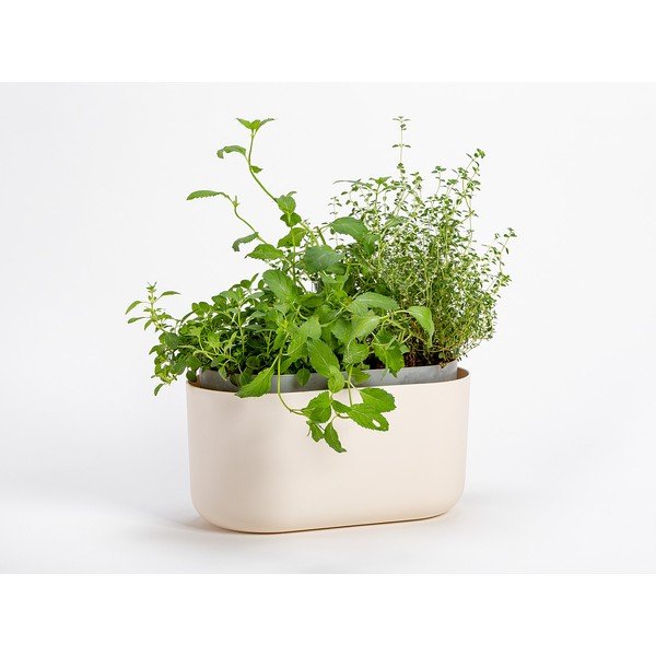 Smėlio spalvos savaiminio laistymo vazonas Plastia Tolita-image-1