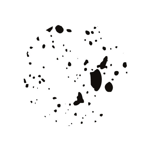 2 juodai baltų daiktadėžių rinkinys Bigso Box of Sweden Splash-image-4