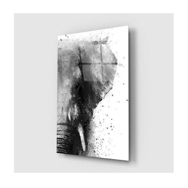 Paveikslas ant stiklo Insigne Dramblys, 46 x 72 cm