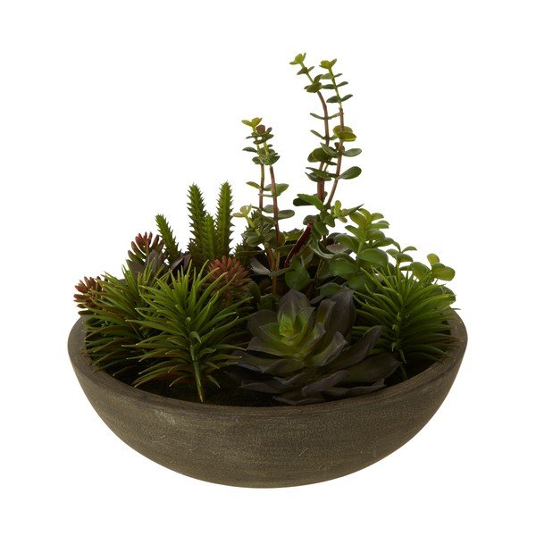 Dirbtinis sukulentas Premier Housewares Fiori vazone-image-1