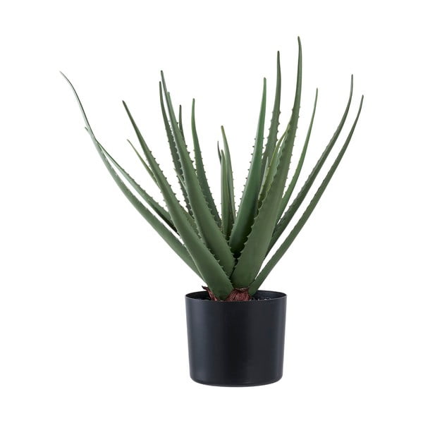 Dirbtinis augalas (aukštis 51 cm) Aloe Vera – House Nordic