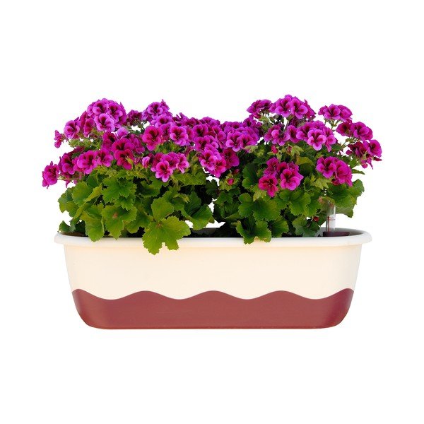 Baltos ir rausvos spalvos savaiminio laistymo vazonas Plastia Mareta, 80 cm ilgio-image-1