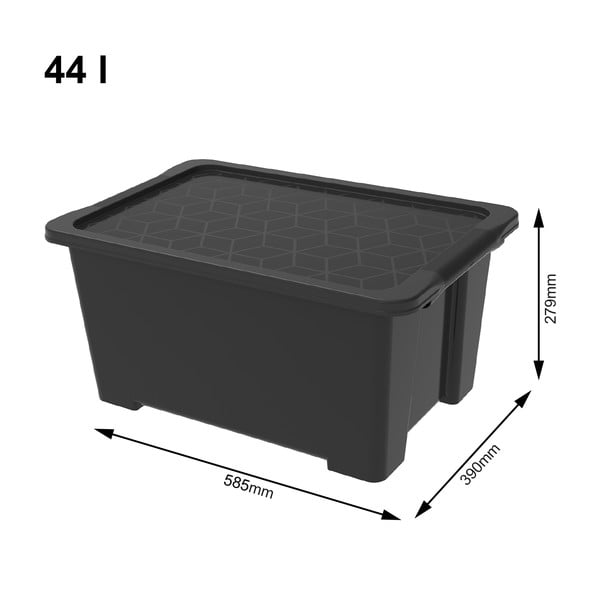 Blizgios juodos spalvos plastikinė laikymo dėžė su dangčiu Evo Easy - Rotho-image-1