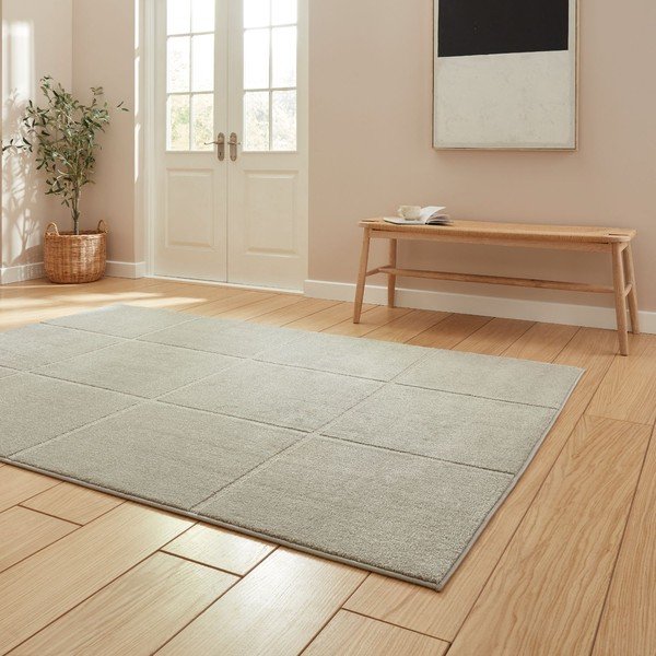 Šviesiai pilkos spalvos kilimas 120x170 cm Elio Silver – Think Rugs-image-2
