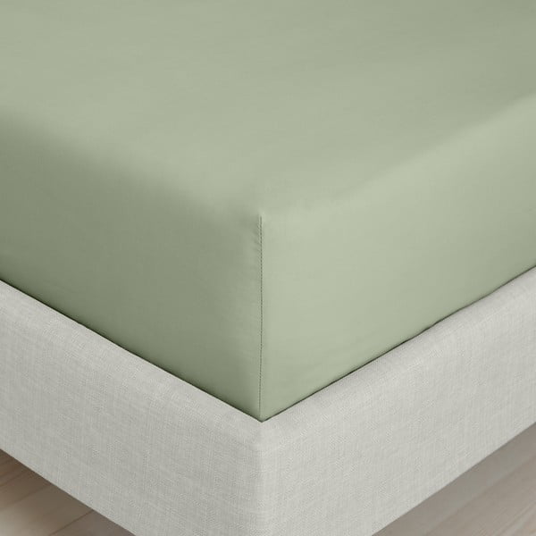 Žalios spalvos iš medvilninio perkelio paklodė su guma 90x190 cm Cotton Percale – Bianca-image-3
