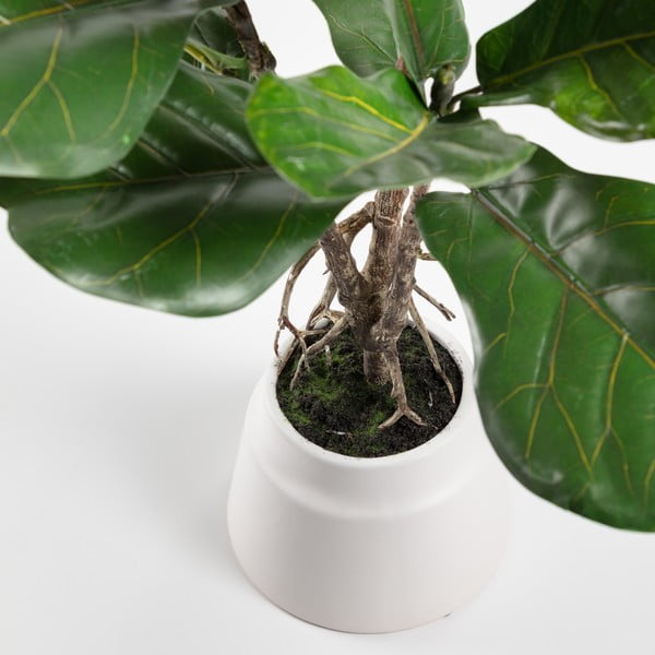 Dirbtinis fikusas (aukštis 60 cm) Lyrata – Kave Home-image-1