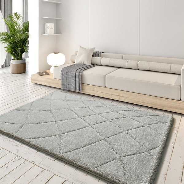 Kilimas šviesiai pilkos spalvos 60x120 cm Molier – Universal-image-1
