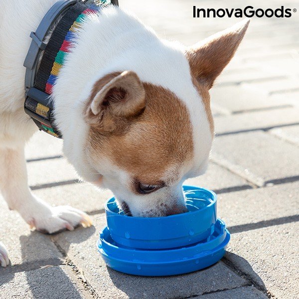 Įtraukiamas šunų pavadėlis 6 in 1 InnovaGoods-image-2