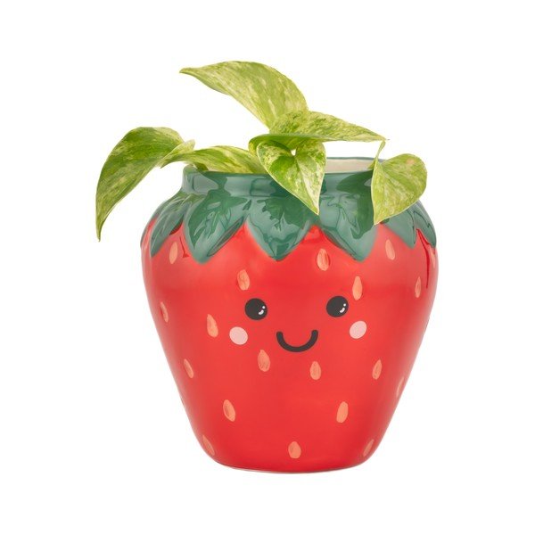 Iš keramikos gėlių vazono dangtelis ø 10 cm Strawberry – Sass & Belle-image-1