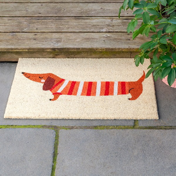 Iš kokoso pluošto grindų kilimėlis 43x73 cm Sausage Dog – Rex London-image-1