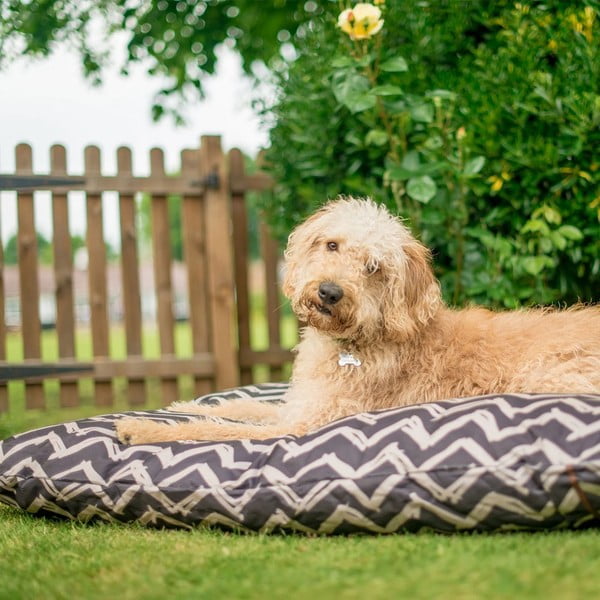 Augintinio guolis juodos spalvos šuniui 50x70 cm Outdoor Bed Barn Raven Black S – P.L.A.Y.-image-1