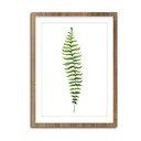 Paveikslas 30x40 cm Greenery – Styler